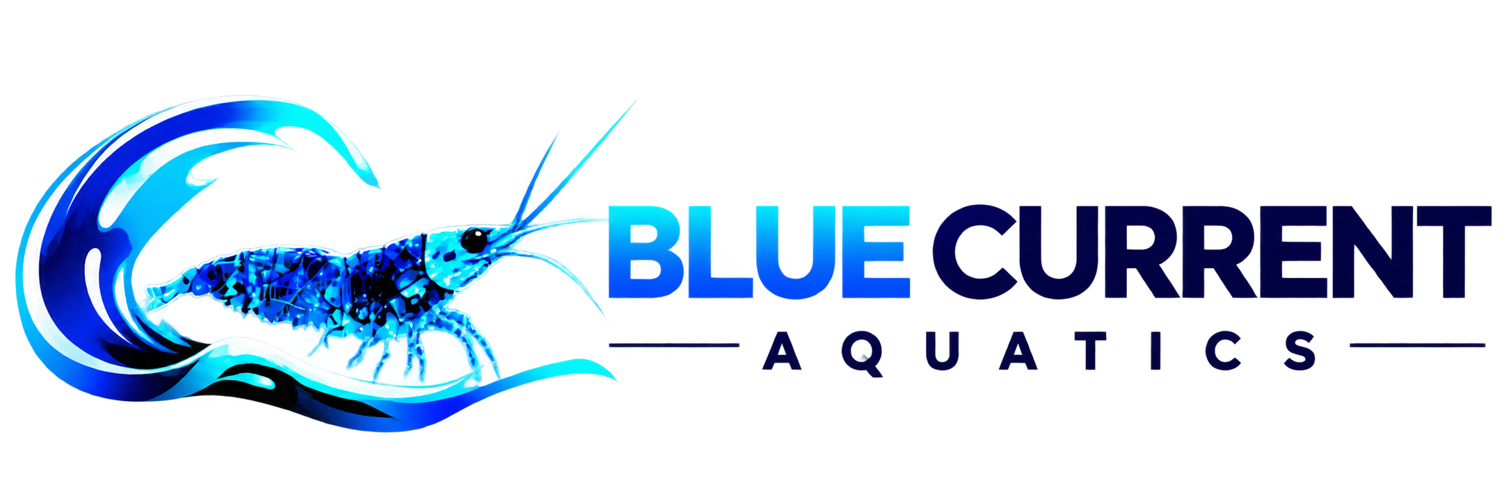 Blue Current Aquatics